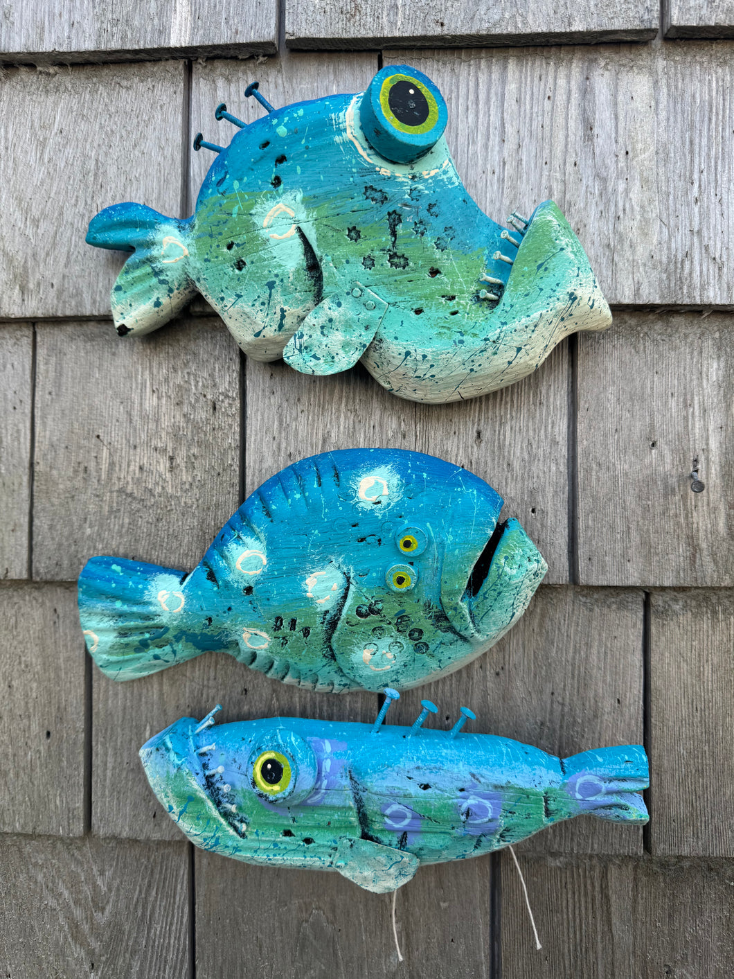 Funky fish-Florence,Gus,Opaline