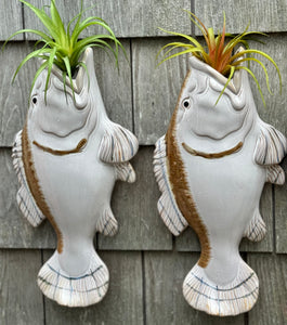 Fish wall planter