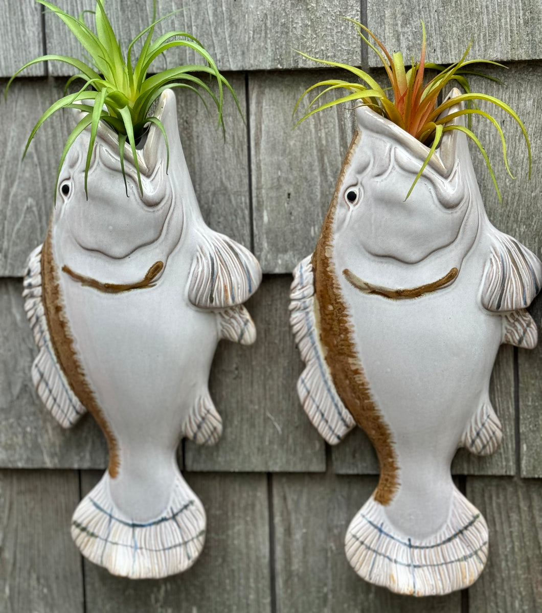 ceramic hanging wall planter Fish wall planter – Wellfleet Marine Corporation