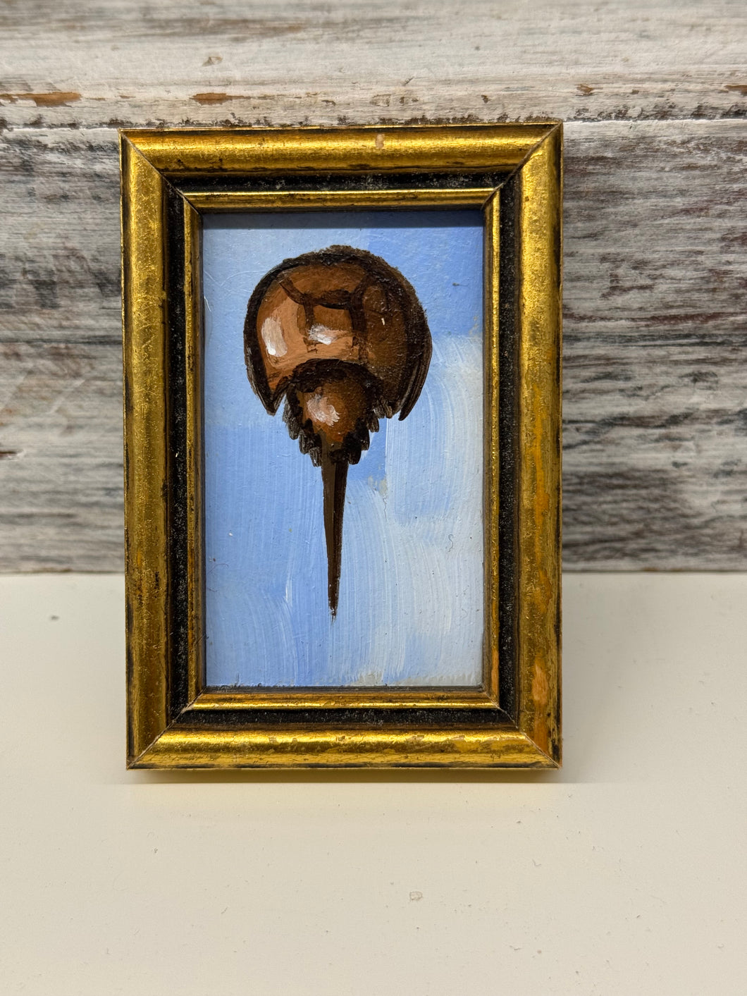 Horseshoe crab mini art