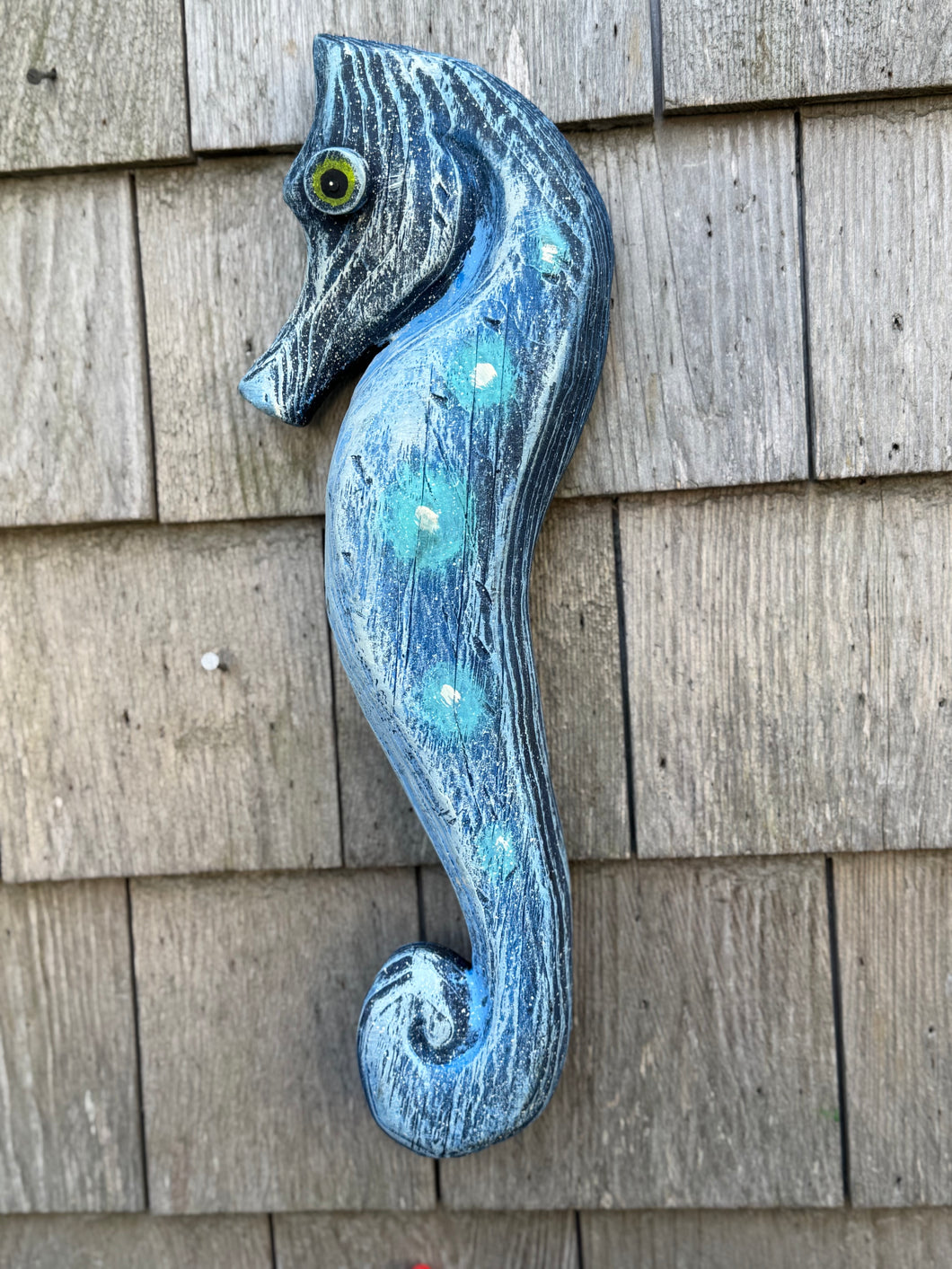 Funky fish- seahorse- stella