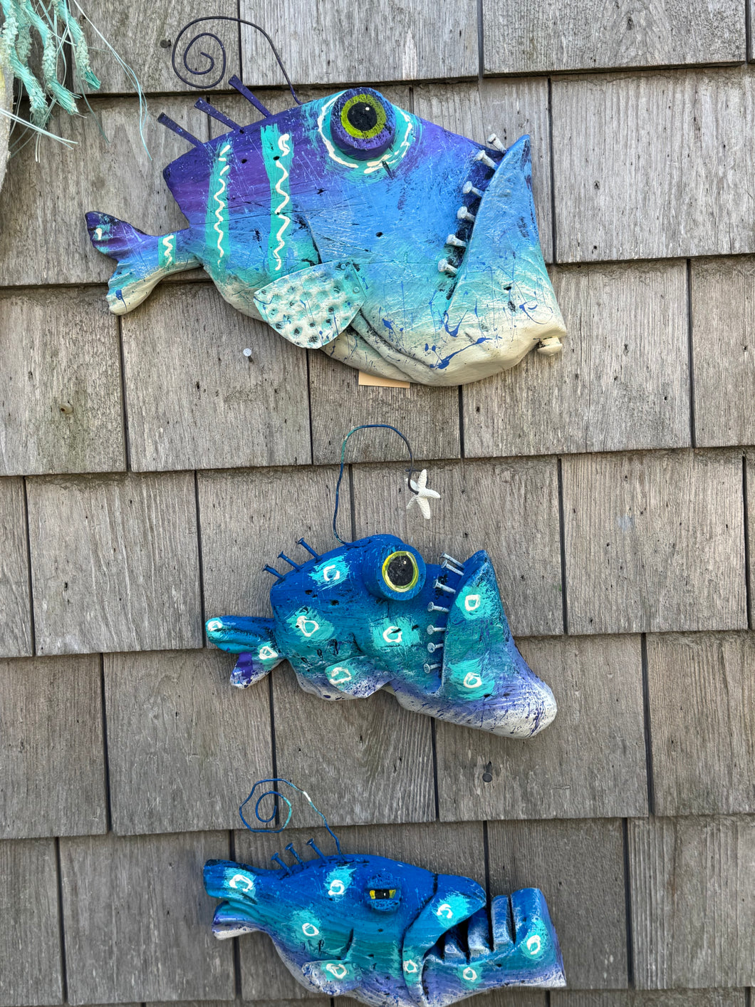 Funky fish-Toni, Stella, Wagner