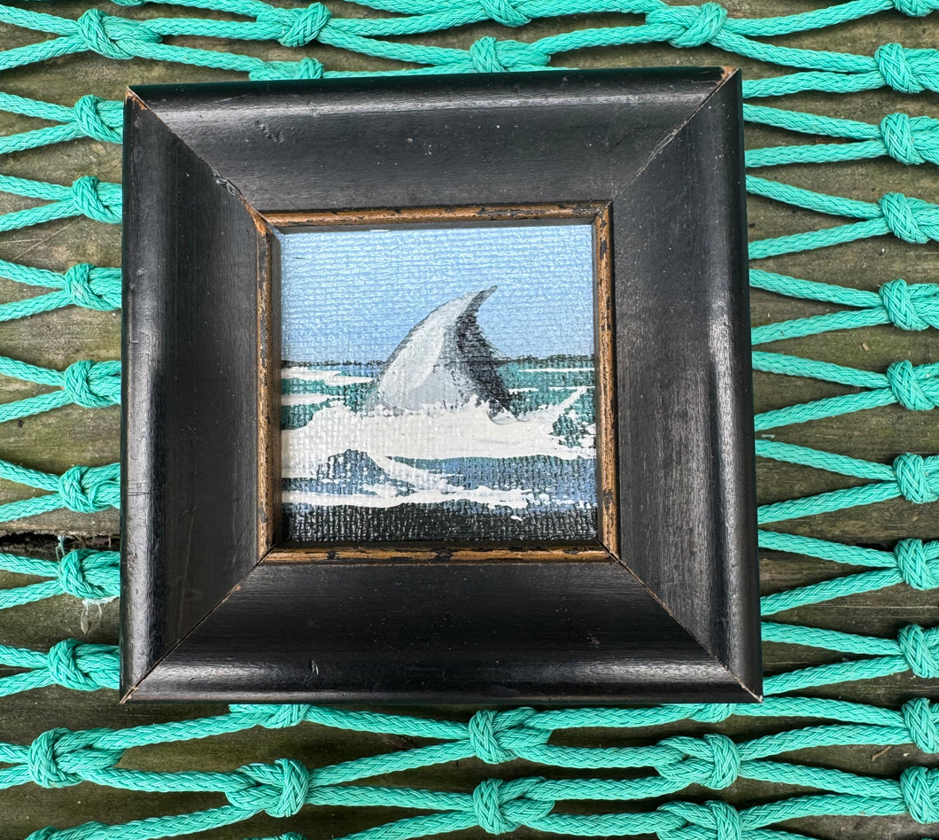 John Young shark fin mini art- bf