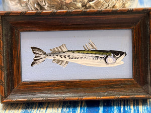 John Young striper mini art