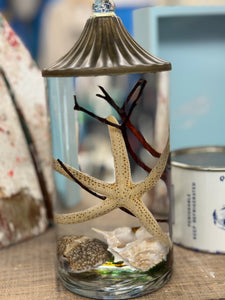 Shell liquid candle-br