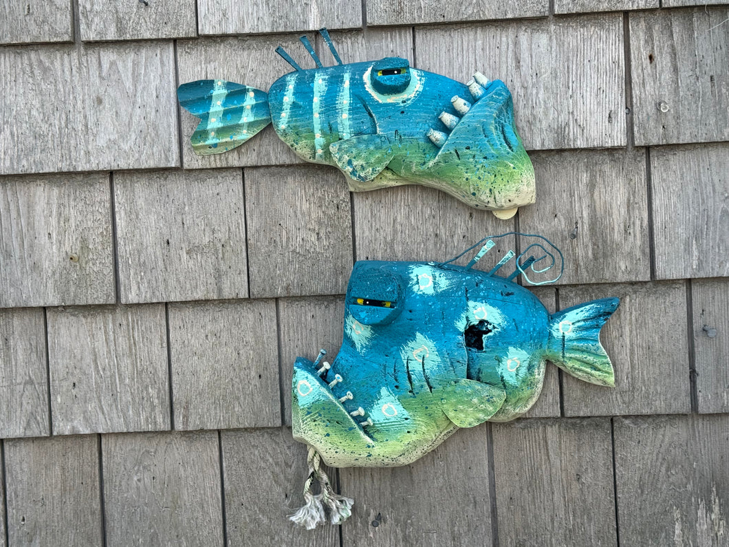 Funky fish-Norman, Sophie