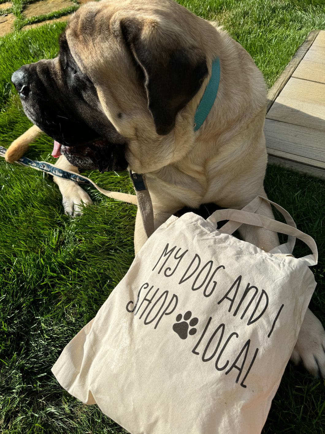 My dog and I shop local tote