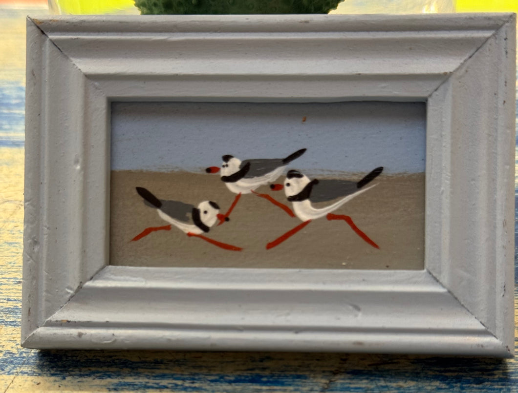 John Young- plovers mini art