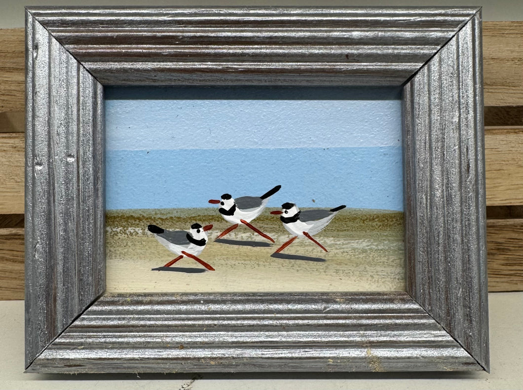 John Young- plovers mini art