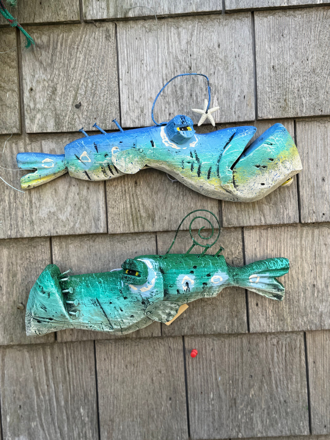 Funky fish- Stella2, Mona