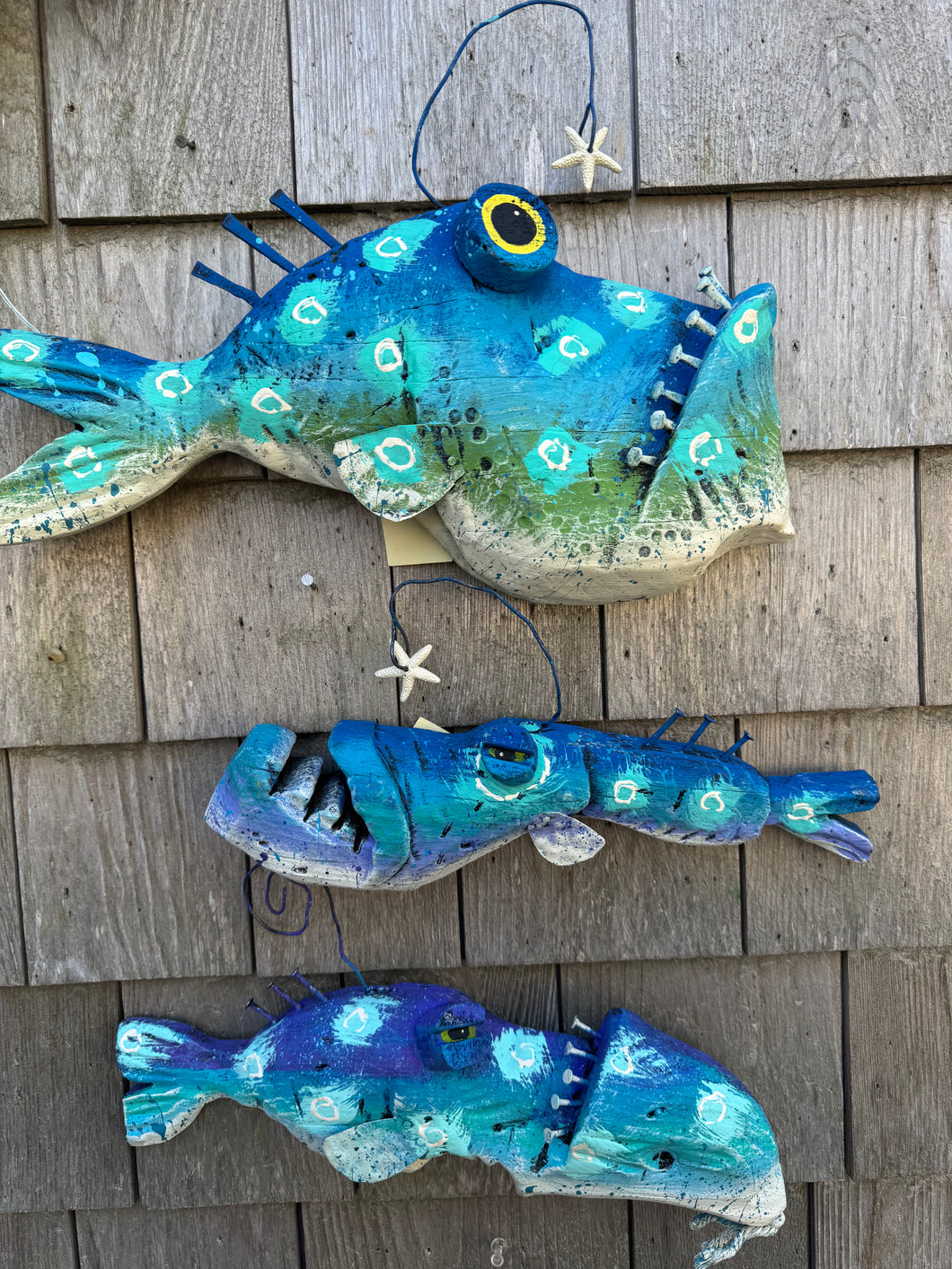 Funky fish- Bitsy,Zelda,Hootie