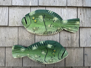 Funky fish- Freckle, Dash