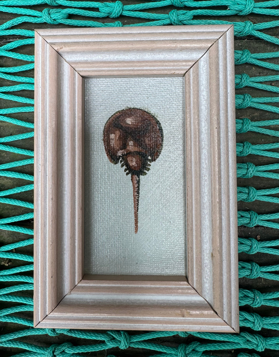John Young- horseshoe crab mini art- cf