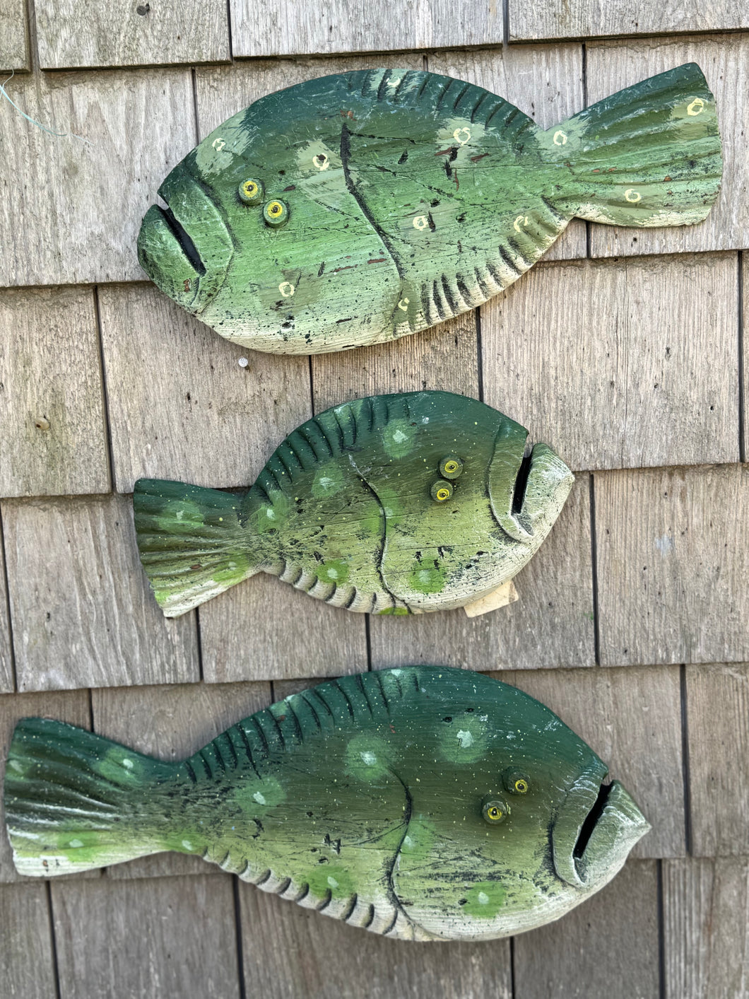 Funky fish-Freckle , Minnie, Annabelle