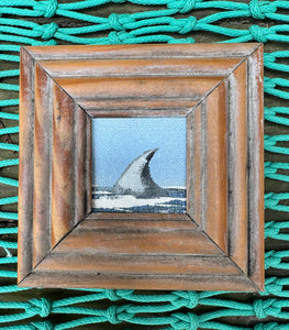 John Young shark fin mini art- tf