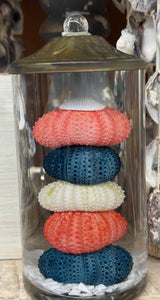 Sea urchin liquid candle- pb