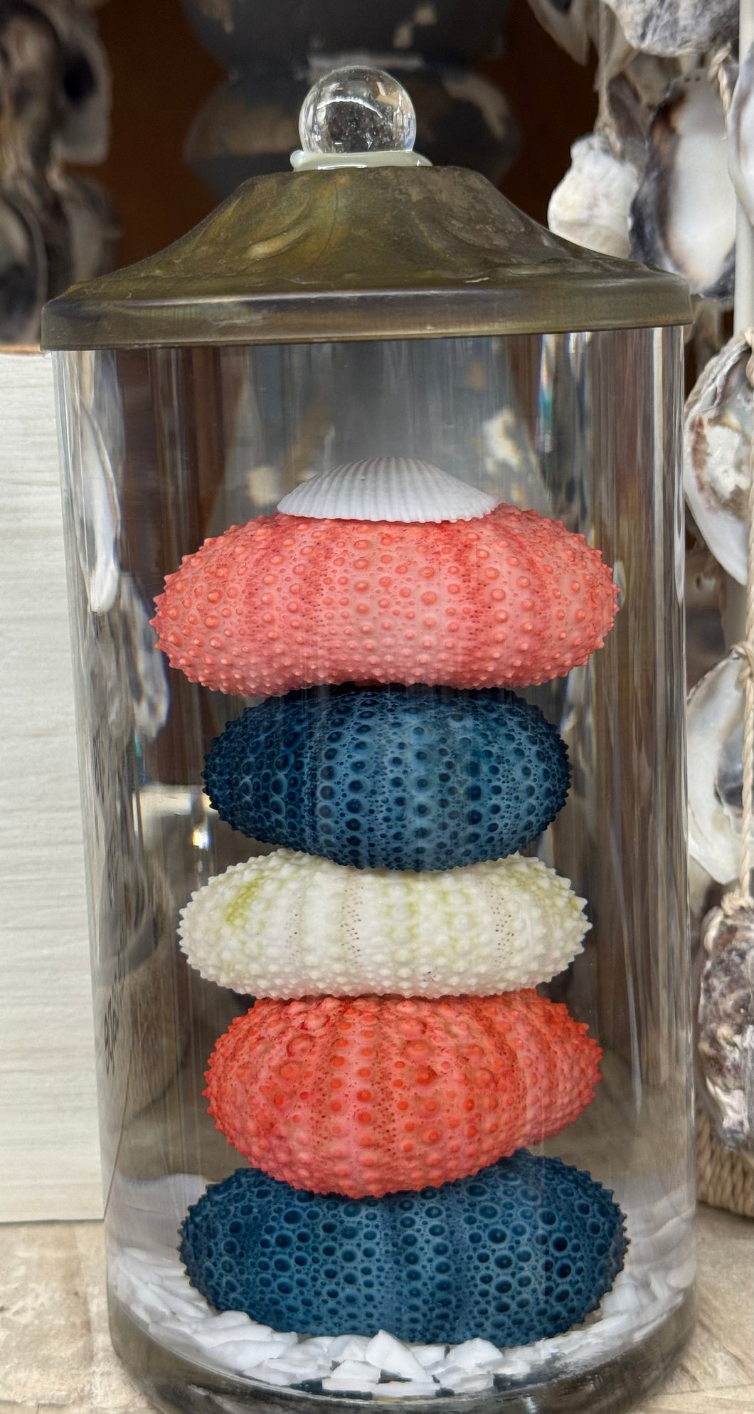 Sea urchin liquid candle- pb