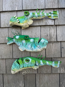 Funky fish-Daisy, Sadie,Augustus
