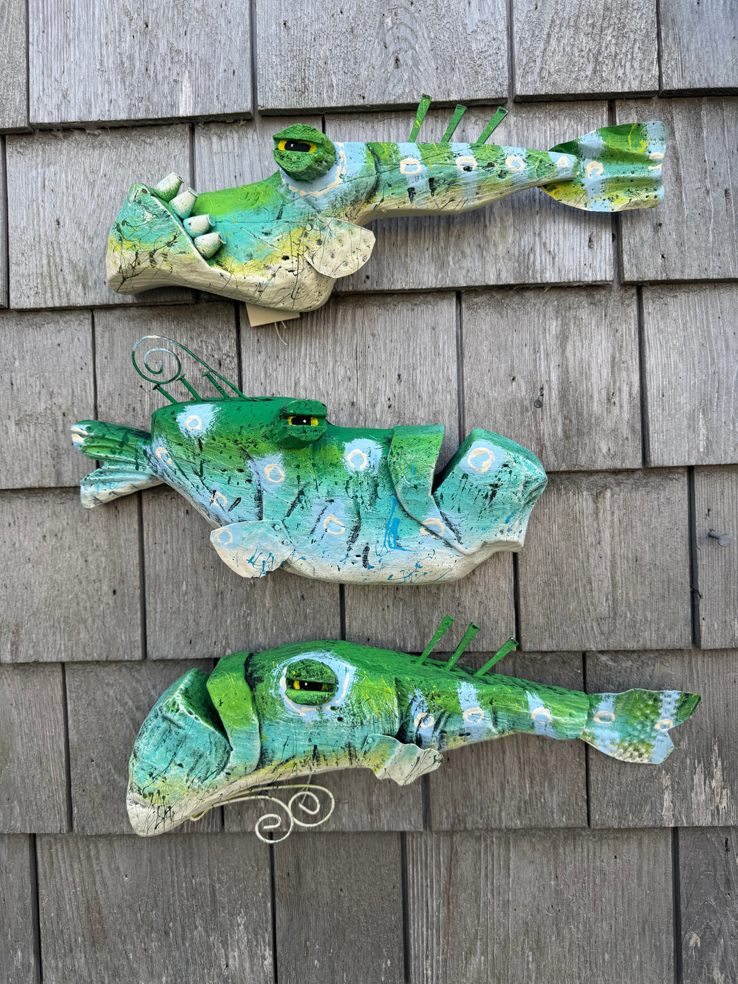 Funky fish-Daisy, Sadie,Augustus