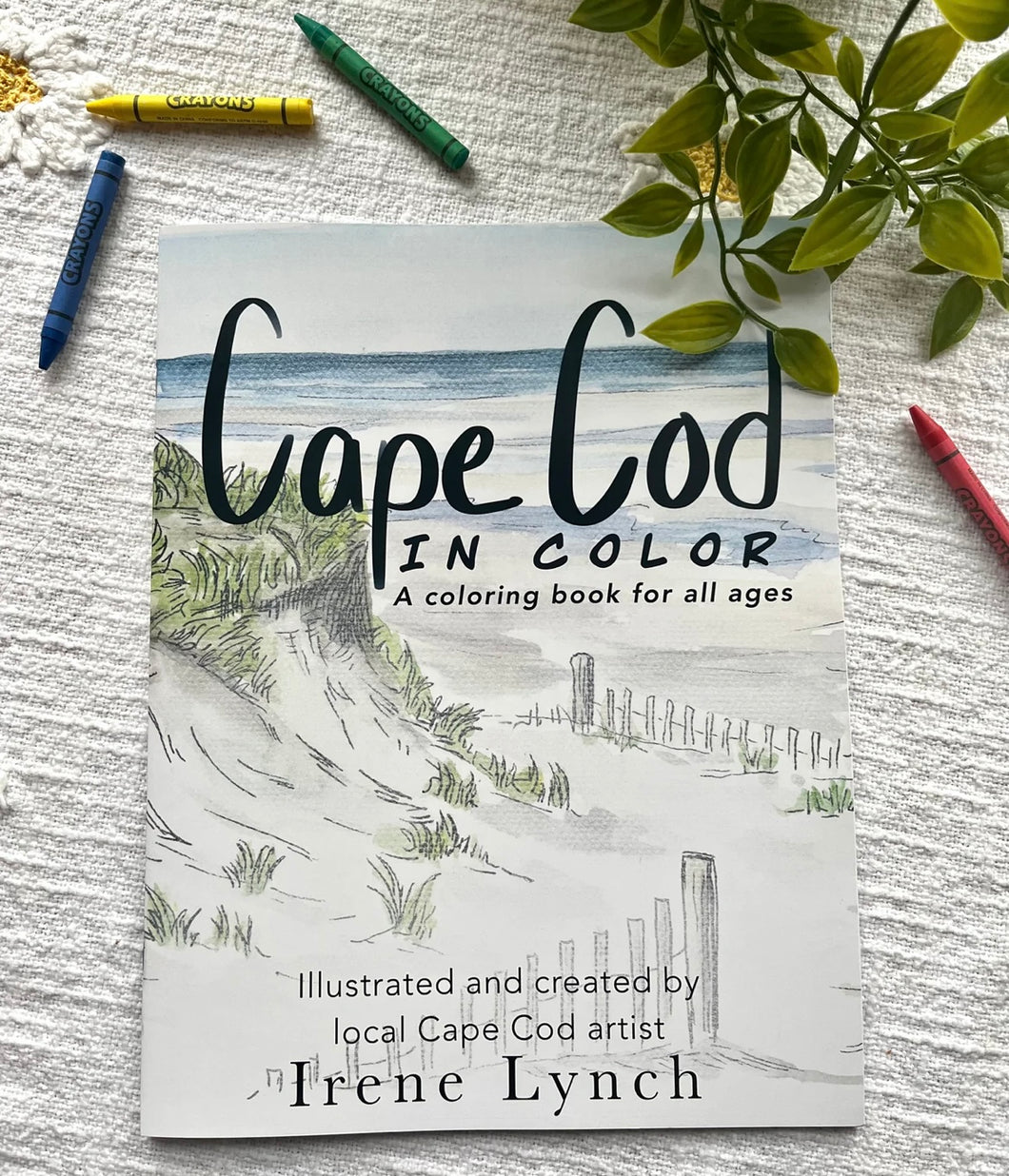 Cape Cod Color Coloring Book