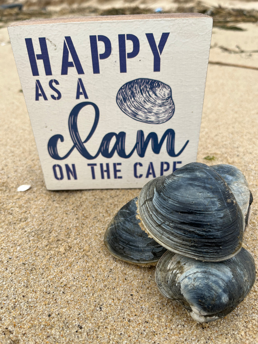 Happy as a clam block sign